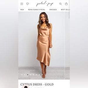 New with tags Petal and Pup rose gold/copper dress US Sz 10